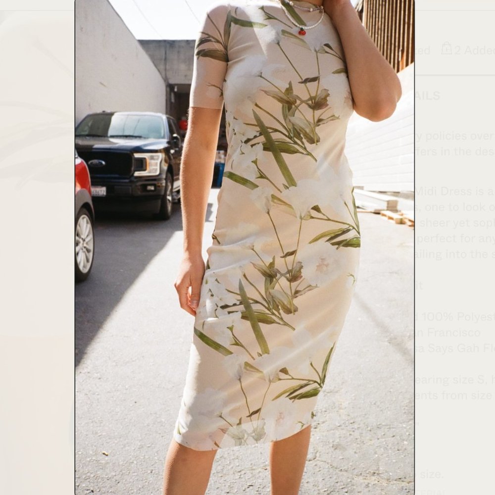 Lisa Says Gah Zelda Midi Dress in Floral Mesh Size XS